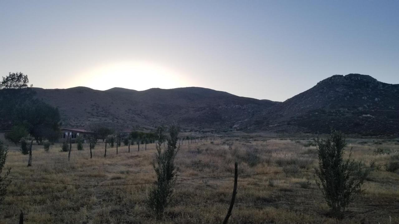 Cabanas Los Laureles Ruta Del Vino Bc Ensenada Eksteriør billede